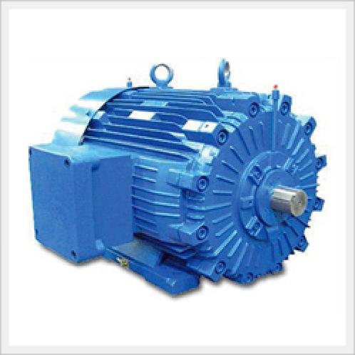 Explosion Proof Motors (Flame Proof D Type)